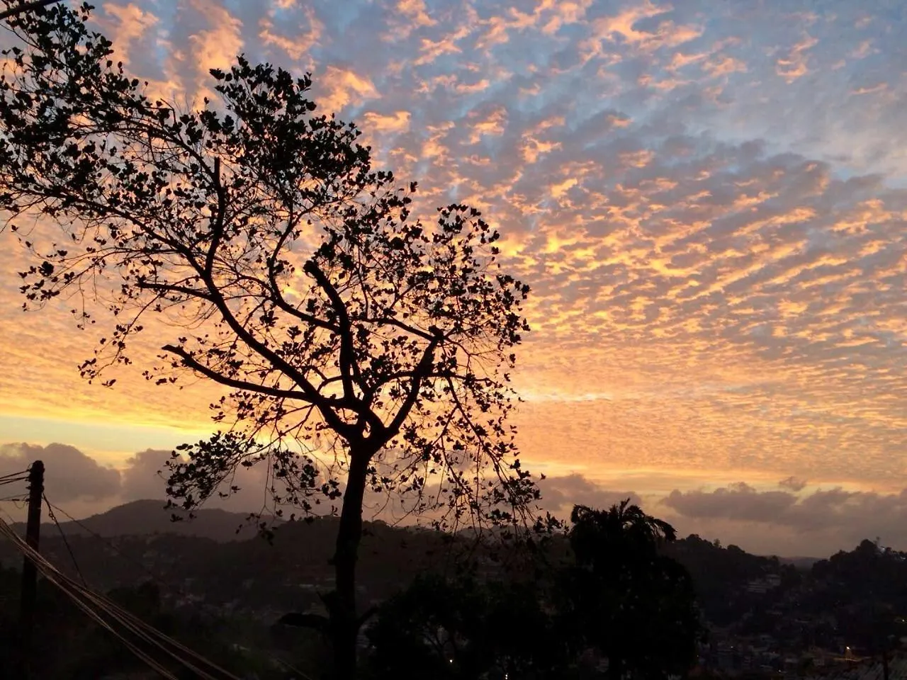 Hotel Grand Orchid Residence Kandy